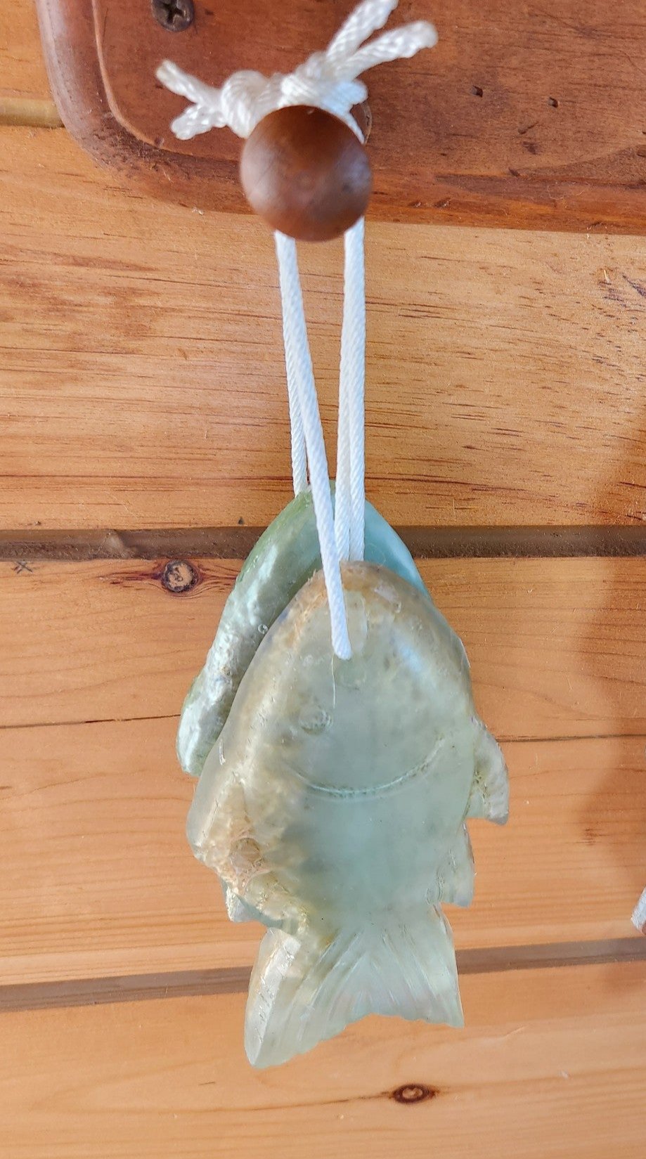 2 Melon Luffa Fish On-A-Rope